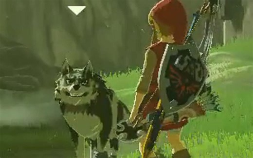【塞尔达传说】amiibo的林克狼能干啥