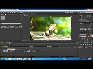 How to Export QuickTime MOV files from After Effect for Stock Footage Submission