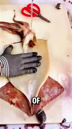 How to Prep a Giant Squid in Under 60 Seconds! 🦑✨ #shorts