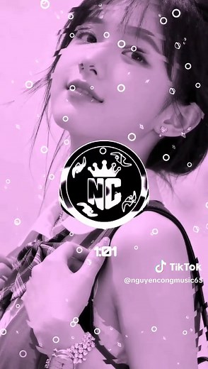 Pháo Hoa Lệ Rơi Remix — Remix Pháo Hoa Lệ Rơi 2026