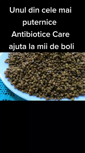 Essential Seeds and Powders for Animal Care