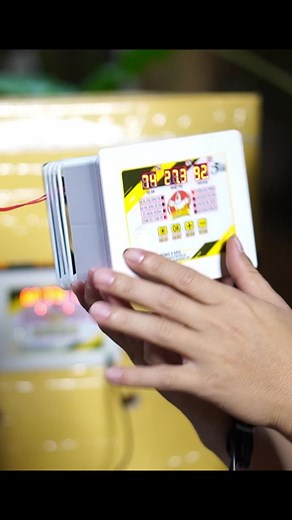 Máy ấp trứng 5 sao bản pro - nên dùng