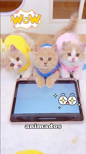 The kitten is playing computer games.#cat #pets #cute #funnycat #catshorts
