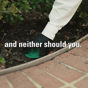 Call today to get an Orkin Pro to the house—stat. | Orkin | Facebook