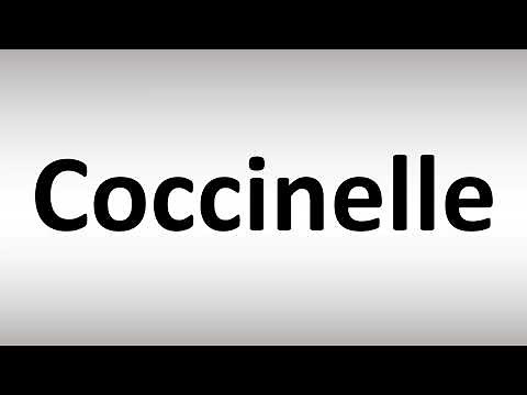 How to Pronounce Coccinelle