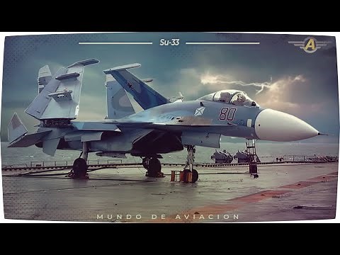 Sukhoi Su 33 - The Carrier Flanker