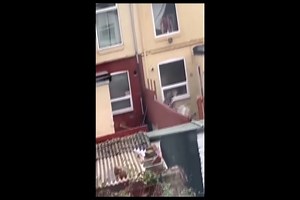 29K views · 757 reactions | "Everybody needs good Neighbours" 藍 Classic with #davidbowie | Stevie Riks | Facebook