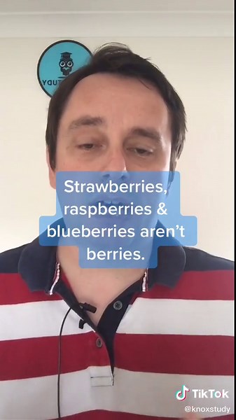 Common Misnomers Explained | English Language Learning