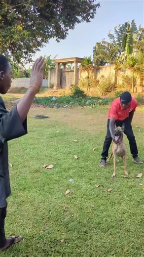 Robbe trainer (@pasrober)’s videos with original sound - Robbe trainer