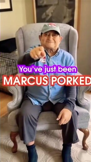 You've Been marcus porked #gorillatag funny #memes #funny #trending