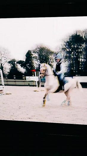 Popcorn and Harlow 🍿🏇 (@popcorn_the_pony_)’s videos with wannabe - 🪩