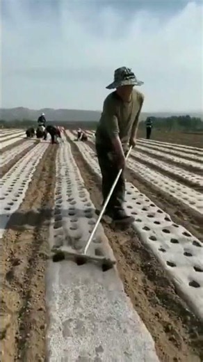 It's This Easy to Install Mulch and Make Planting Holes