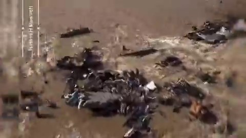 Los israelíes han abierto la presa de aguas residuales hacia el río Wadi Gaza, contaminando la costa y, a su vez, el mar Mediterráneo.