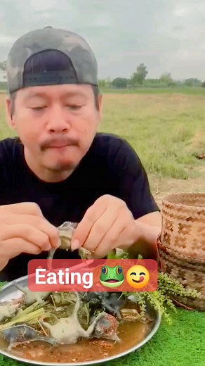Eating frogs. Frog Eating challenge #recipe #reels #viral #chinesereels #chineserecipe #food #cooking #food #asmr #satisfyingvideos #asmrfood #satisfyingfood #chinesefood #mukbang #mukbangvideo #mukbangasmr #mukbanget #mukbangeatingshow #mukbangeating #mukbangshow #foodeating #instagram #instagramreels #trending #foodgasm_love #foryou #reel | DAILY FOODS