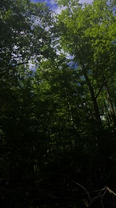 I dont know if I think its so beautiful here because its mine or if its just this beautiful 😍 | Lesley Cooks and Bakes