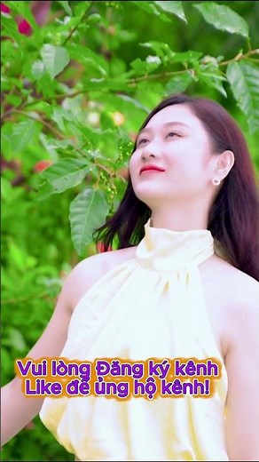 NGHE LÀ NGỦ NGON LIỀN | Nhạc Guitar Không Lời Chữa Lành - Thư Giãn, Giảm Stress & Ngủ Sâu 2026