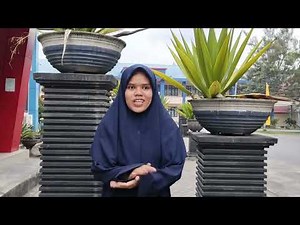 Tutorial membuat soal essay menggunakan Flexiquiz dan mengelola nilai menggunakan aplikasi Exel