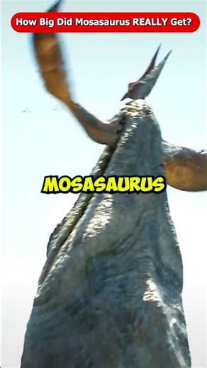 How Big Did the Mosasaurus Really Get? Jurassic World Rebirth Netflix The Dinosaurs