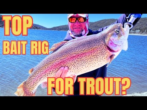 Trout Fishing 101 - The One Rig You Need To Know