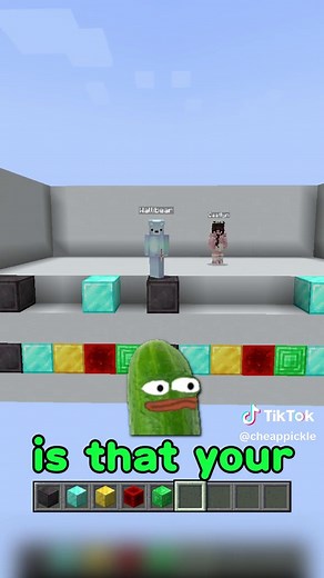 Color Matching Challenge in Minecraft