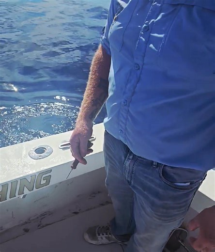Venting helps remove air from the fishes swim bladder so they can get back to the bottom. | Man Overboard Charters