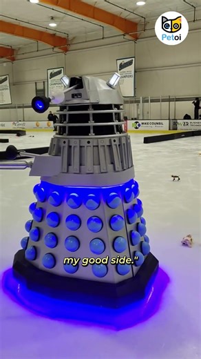 Robot Dog, Robot Cat & a Robot Arm — all on ice | Robots on Ice 2026