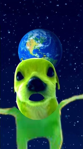 alien dog #funny