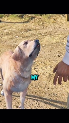162K views · 8.2K reactions | GTA 5: Franklin Can Actually Talk to Dogs? #gtaviral #gta5clips #gaming #grandtheftauto #gta #gta5 | Reckless Outlaw | Facebook