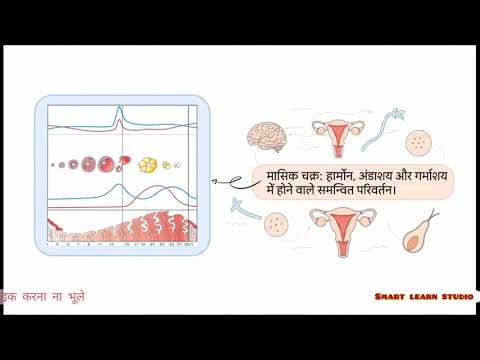 7 मिनट में पूरा Human Reproduction | Class 12 Biology | Super Easy Explanation
