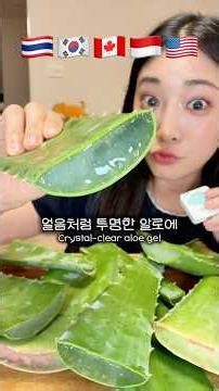Aloe Vera Mukbang: Tasting Sauces from Around the World🇹🇭🇰🇷🇨🇦🇮🇩🇺🇸#asmr #mukbang