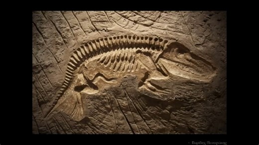 Απολιθώματα