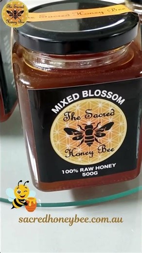 Raw Red Gum Honey | Pure, Unheated & Straight From the Hive 🍯