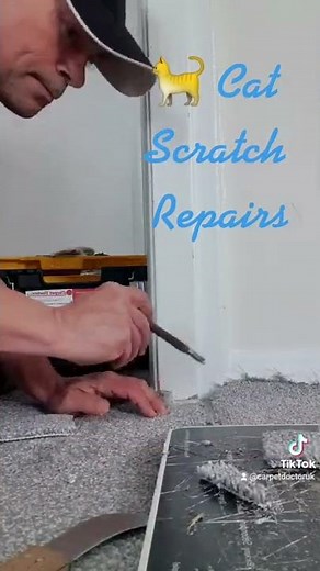 How to repair carpet damage from cats.