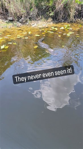 That's how they get you! #dripfishcoffee #coffee #Florida #everglades #bassfishing #alligator #fishing | Dripfish Coffee