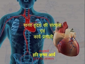 Structure and function of human heart Hindi