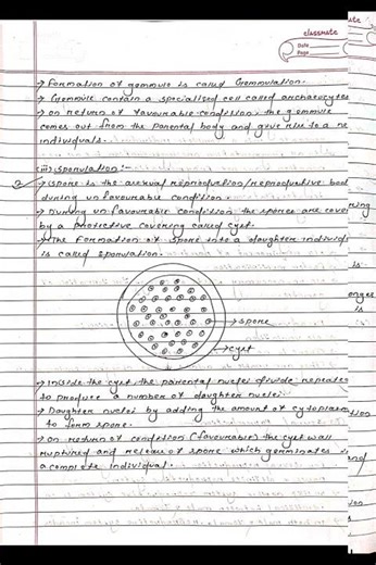 Animal Reproduction introduction....#animals #animalshorts #animalfacts #Reproduction#animalstory