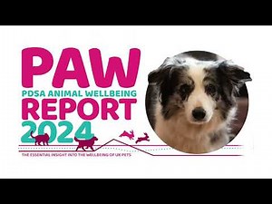 PDSA 2024 Animal Wellbeing (PAW) Report | Key Findings About Dogs