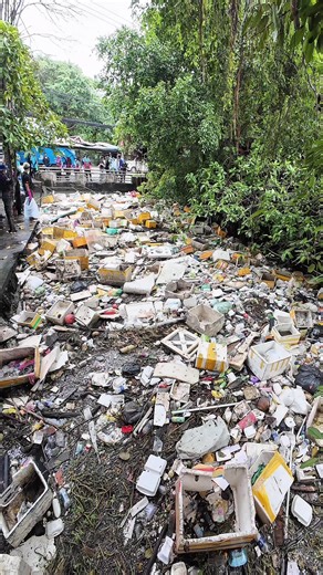 Video của Sài Gòn Xanh 🍀 (@saigon_xanh) với bản nhạc Breaking News - Voxie