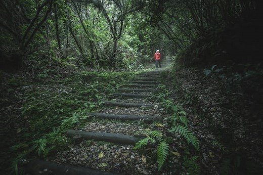 8 eco-friendly destinations where sustainability is priority