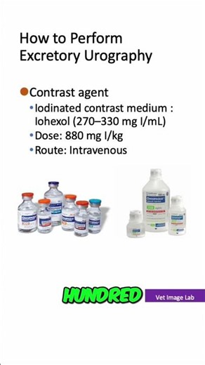 Upper Urinary Tract Contrast Studies: Two Phases #shorts
