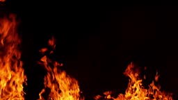 4K footage Close- up Shot of Bonefire, Fire flames in sugarcane...