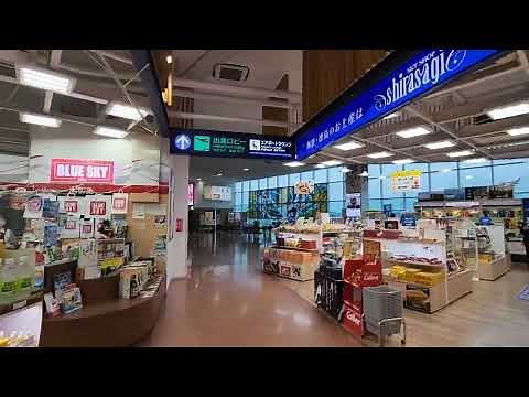 徳島空港／徳島阿波おどり空港（TKS)