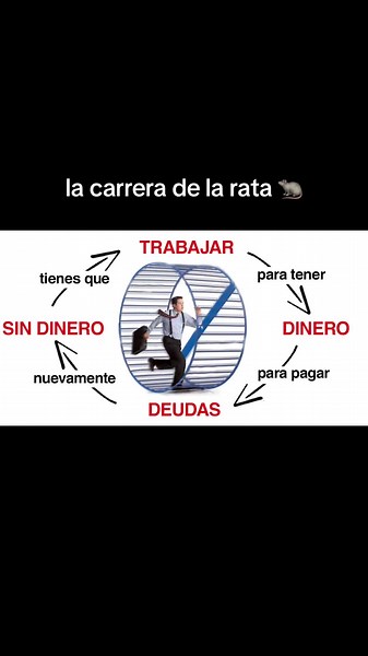 #viral #lacarreradelarata #educacionfinanciera