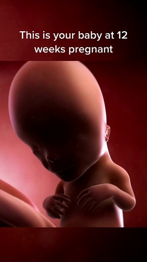 What week should we do next?🌸🤰#pregnancy #pregnant #pregnancytiktok #pregnancyjourney #pregnantlife