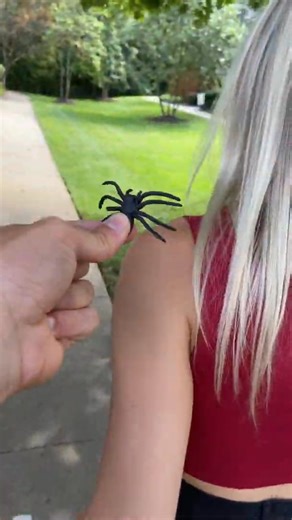 4.3K views · 22 reactions | Spider prank on girlfriend.. #reelsfbシ #fbreels2025ツ #fbreelsfypシ゚viralシ #fbreelsviral #viralreels #viralreelsfb #fypageシ #fypreelsシ゚viralシ #fypシ゚viralシ #pageforyou | Biagio Lazaric | Facebook