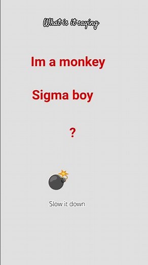 what is he saying im a monkey or sigma boy? #funny #memes