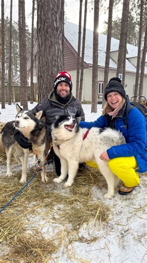 🇨🇦Being able to go dog sledding for the very first time was such an incredible experience! A big thank you to Dog Sledding Mont-Tremblant for a really fun day with some really hard working dogs. #dogsledding #monttremblant #canadawinter | Dave Mani