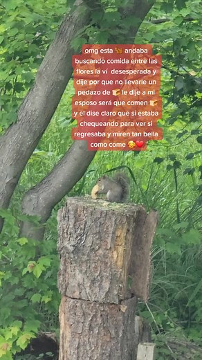 Sandra J herrera on TikTok