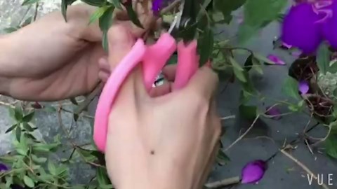 Garden Pruning Shears Scissors with Comfort Grip Handle, Premium Steel Professional Floral Scissors, Perfect for Arranging Flowers, Pruning, Trimming Plants, Gardening Tool (Pink)