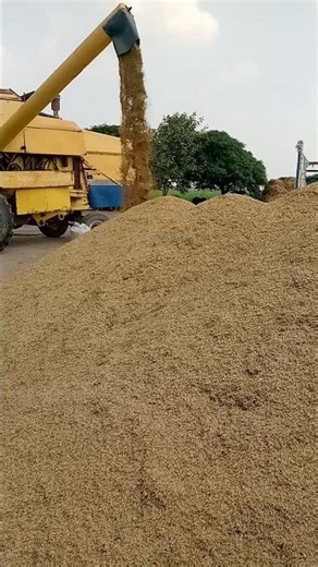 Rice Harvesting with Harvester Machine | Smart Farming Technology